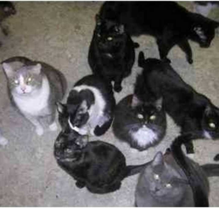 Photo of Precious Lives' Ca