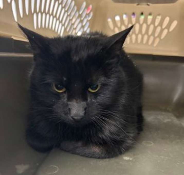 Photo of Jammy Doger