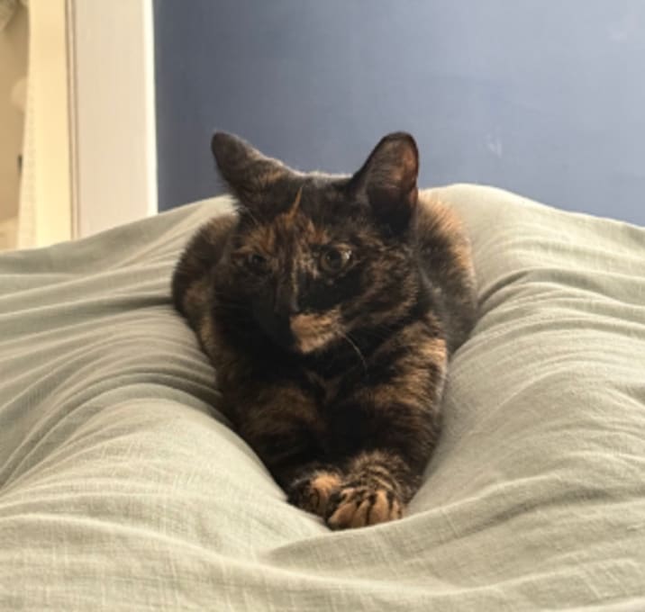 Photo of Berger (paired with Oyster)