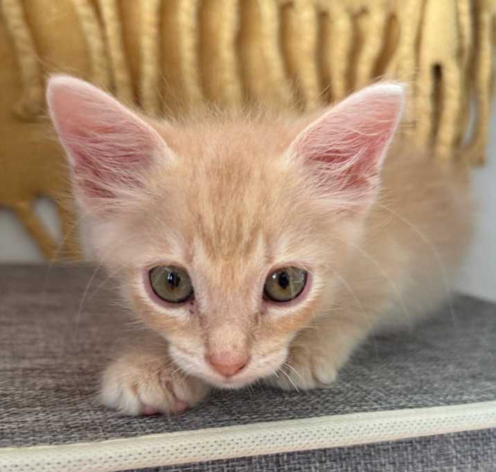 Photo of Forrest Gump