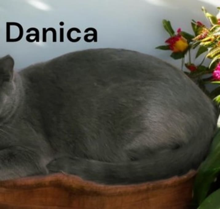Photo of Danica
