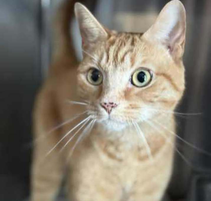 Photo of Ft. Ludacris