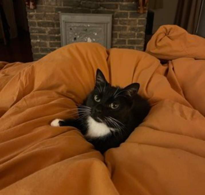 Photo of Thora Onyx IN FOSTER