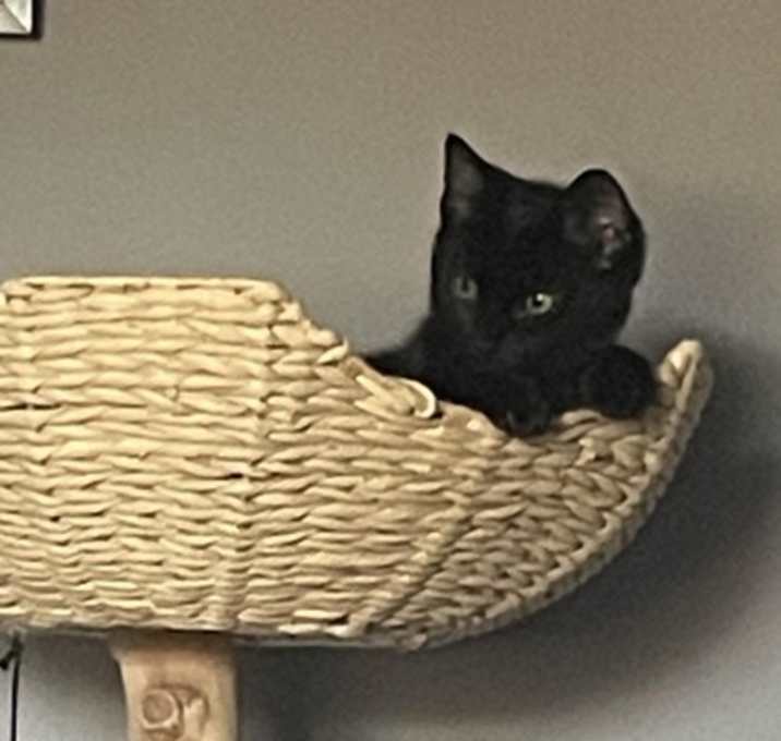 Photo of Sweater Weather