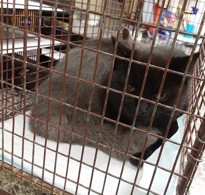 Photo of 2025-12-028