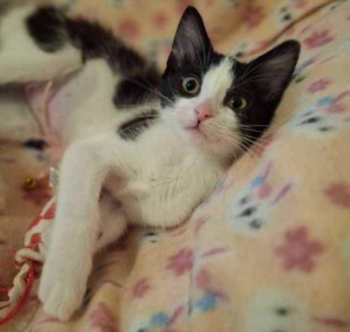 Photo of Lizziebelle