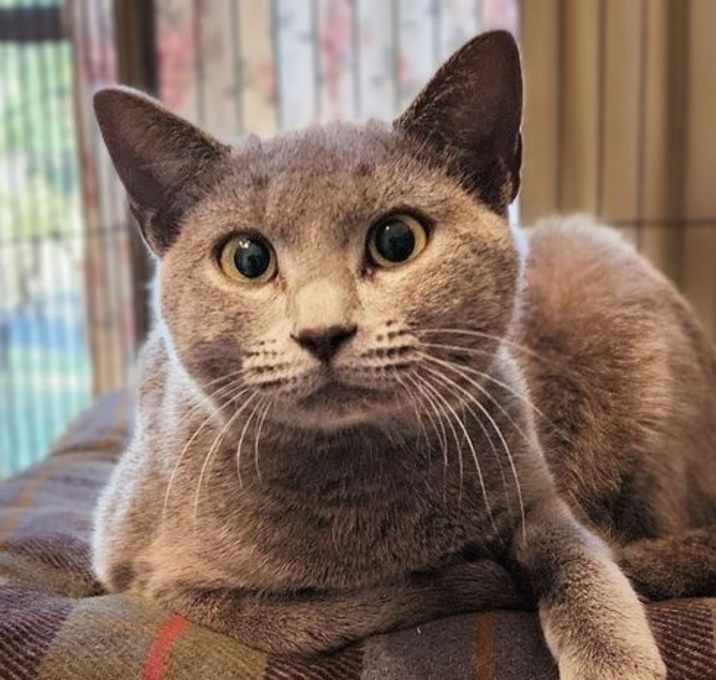 Photo of Silver 7.23.23