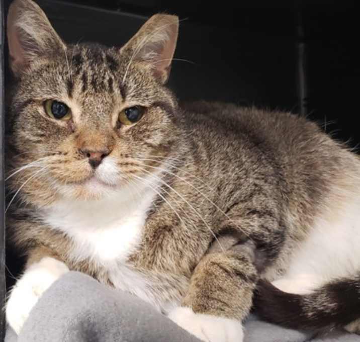 Photo of Marky Marcus