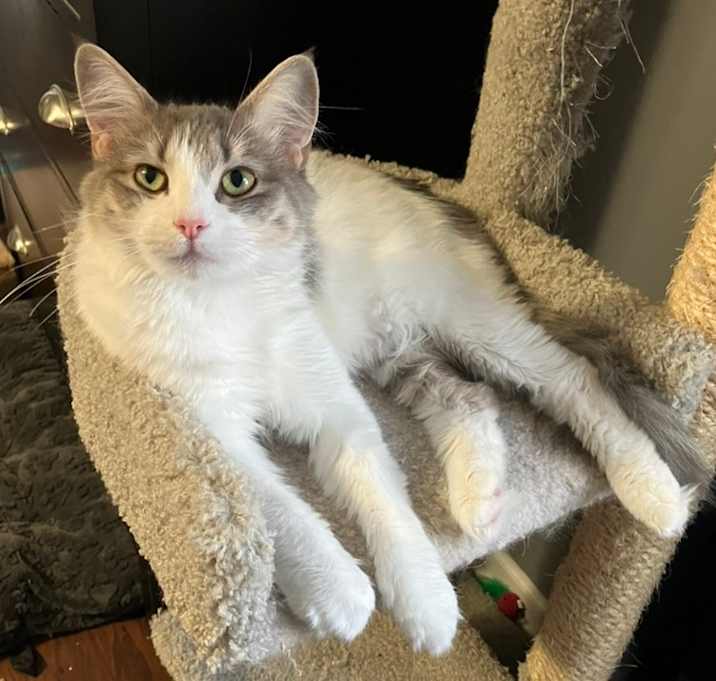 Photo of Scrub Mommy