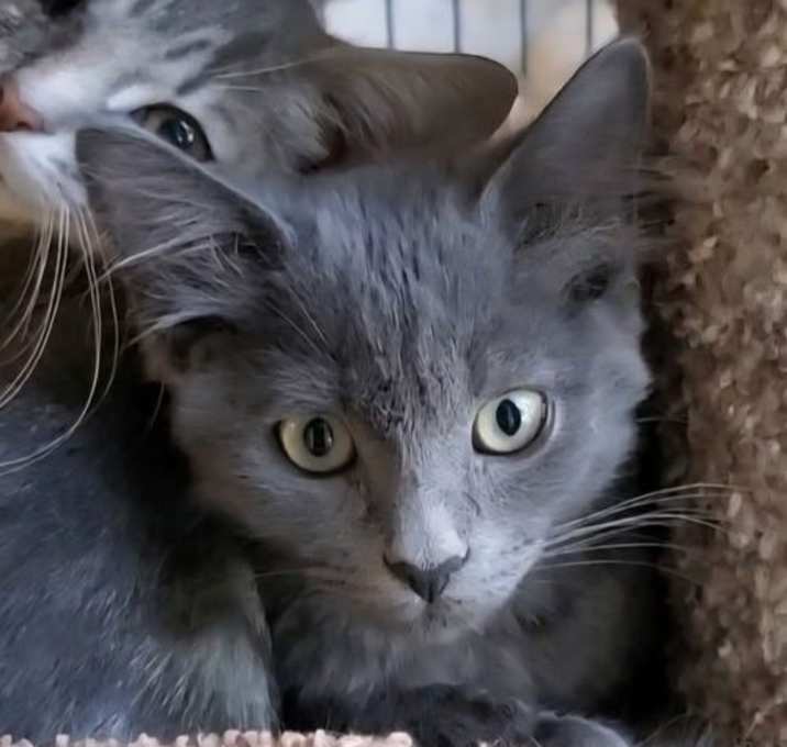 Photo of Bonita Beach