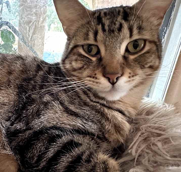 Photo of Wyatt Dwerp