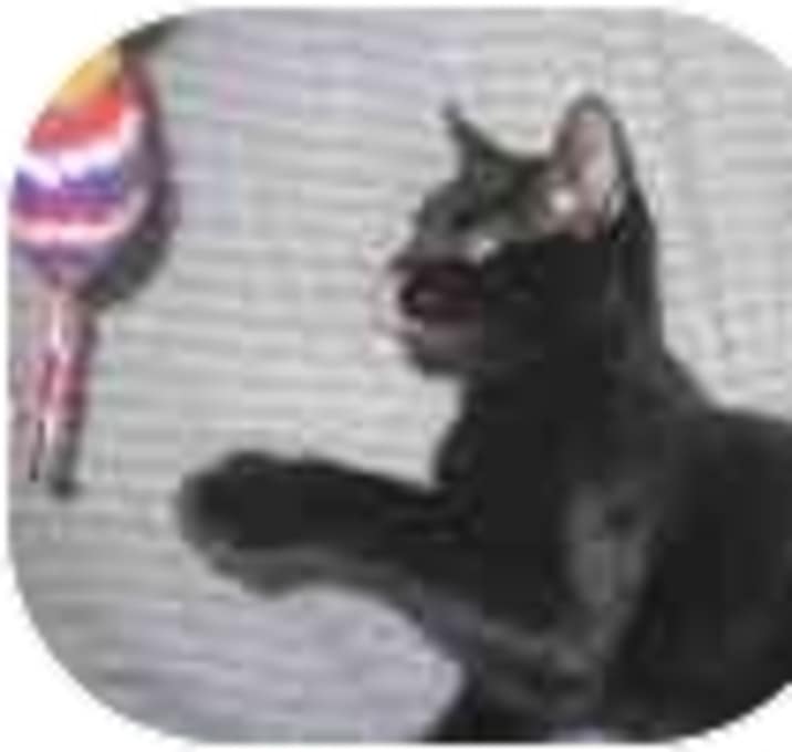 Photo of Cedric