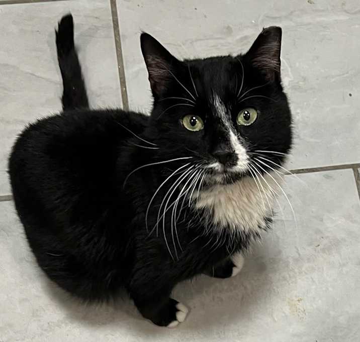 Photo of Percy Pallas