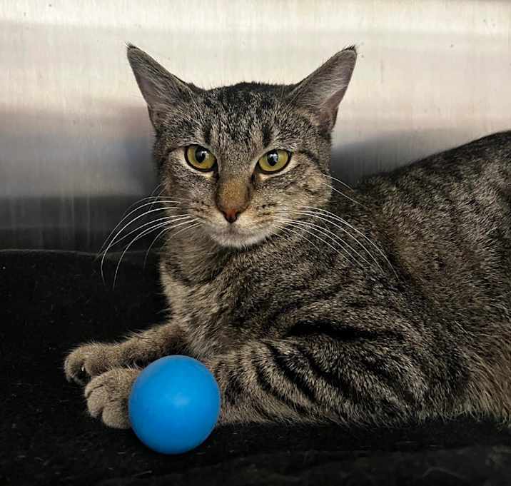 Photo of Ms. Scarlet