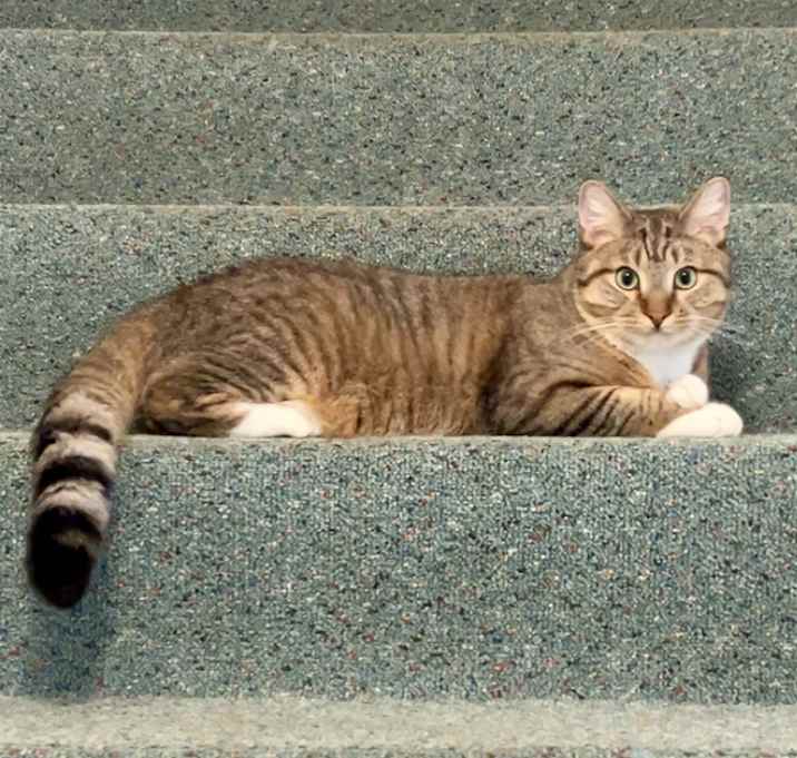 Photo of Dolly &Duke