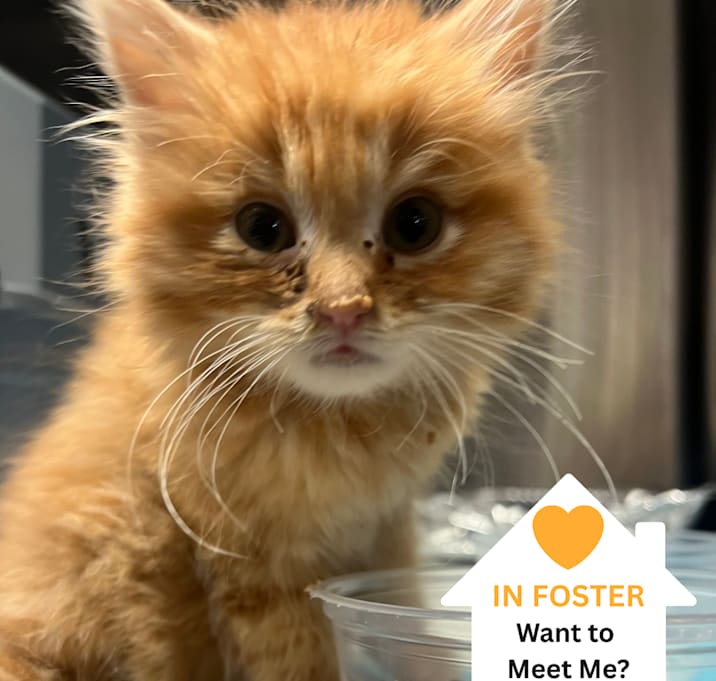 Photo of Einstein Bagel