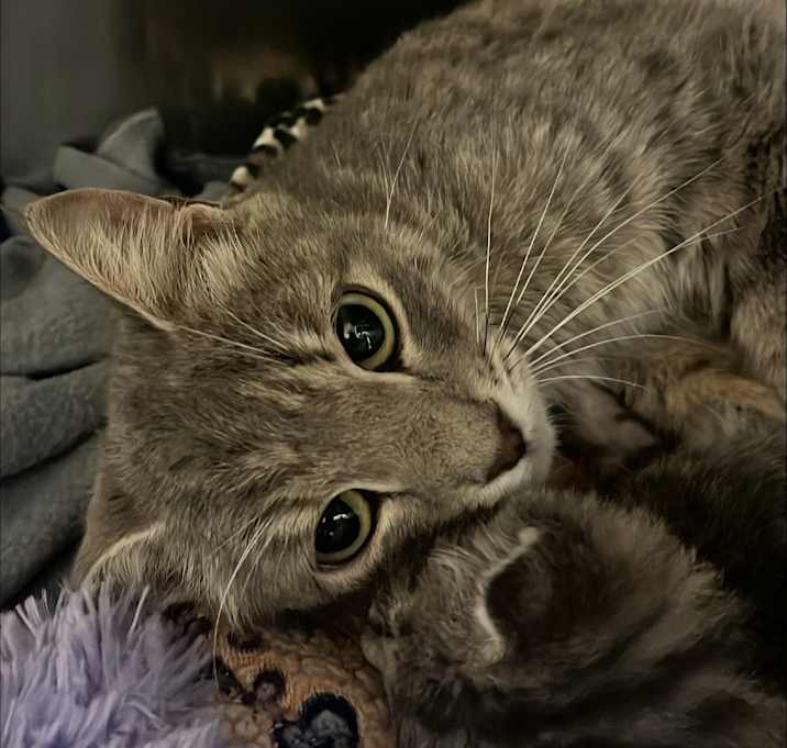 Photo of PH5 Jennie Gorovitz