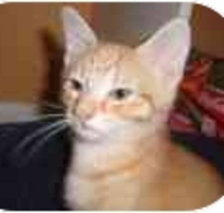 Photo of Rupert