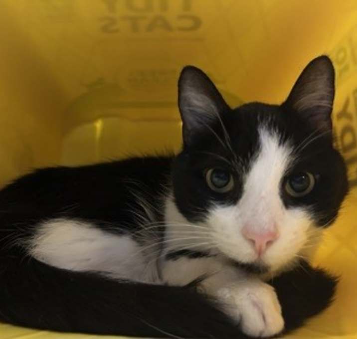 Photo of Paddington Bear