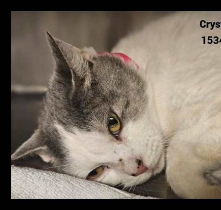 Photo of Crystal (635)