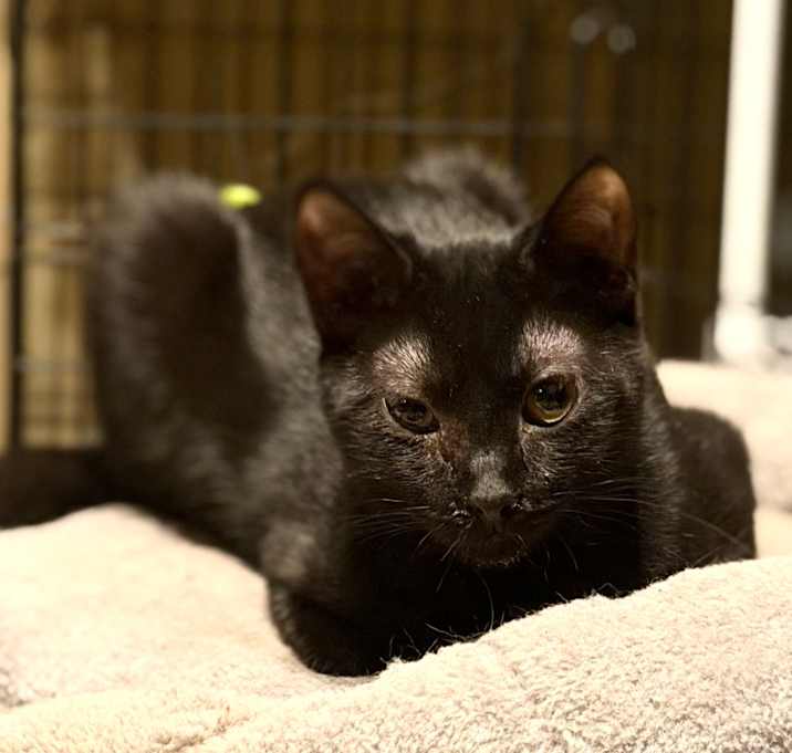 Photo of Sabrina Miller