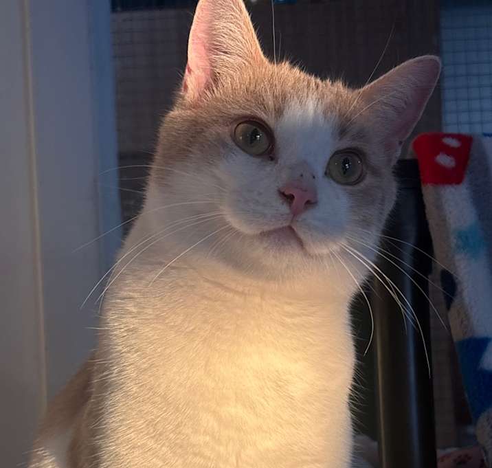 Photo of Sebastian 24C25