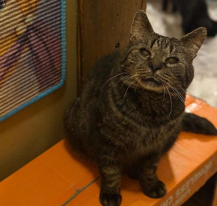 Photo of Marcus Lichens