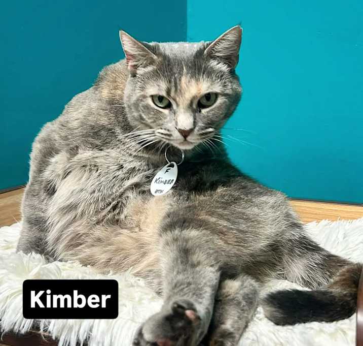 Photo of Kimber