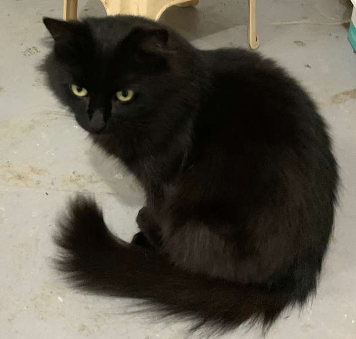 Photo of Luckie Estep