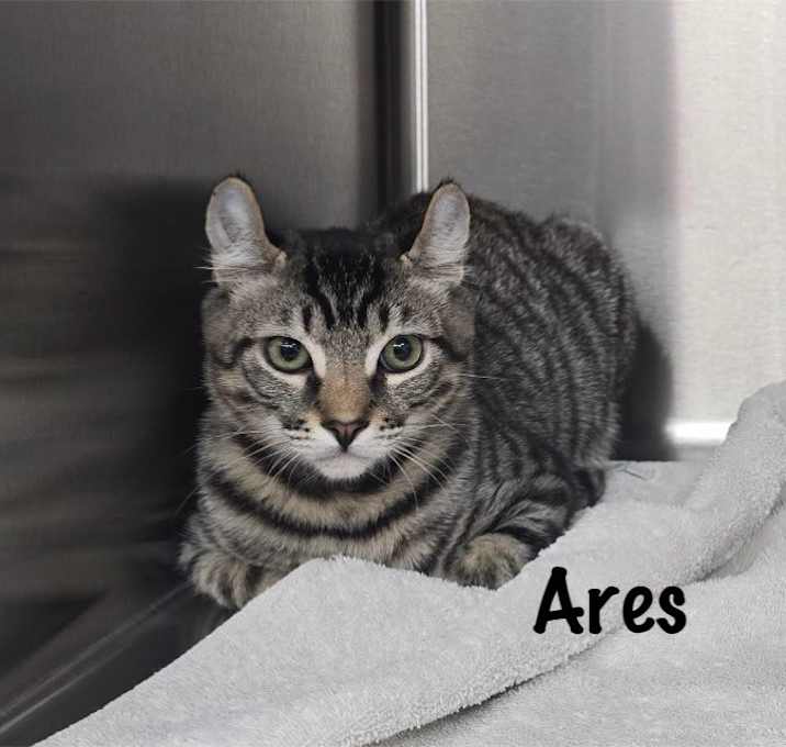 Photo of Ares