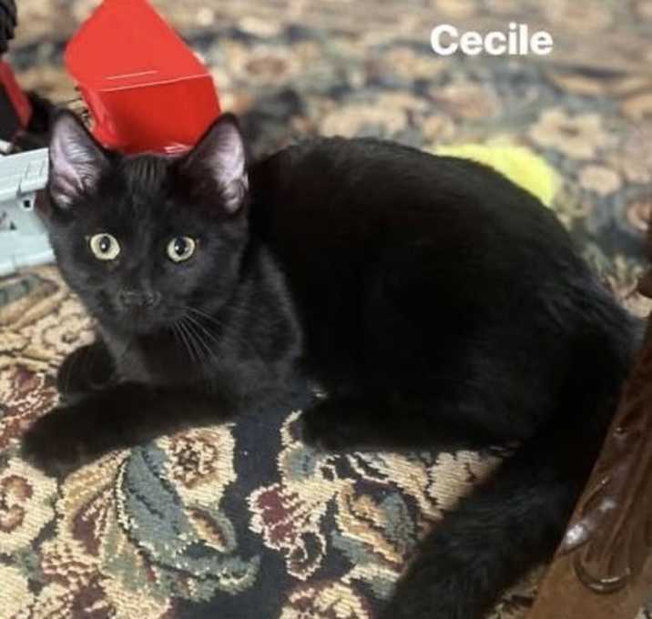 Photo of Cecile