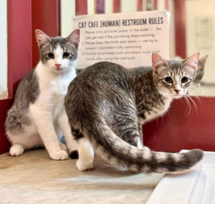 Photo of Joel & Micah