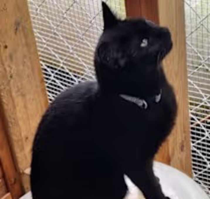 Photo of Stuart Little