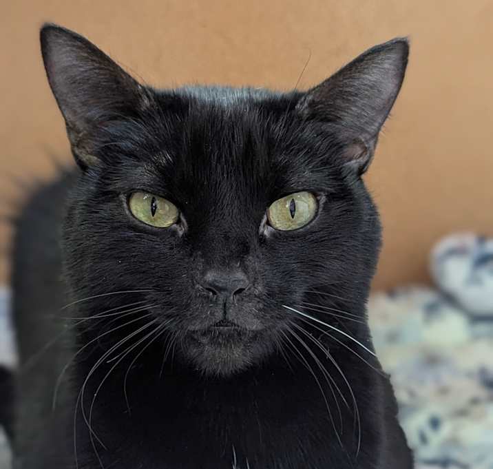 Photo of Kasey/Serena