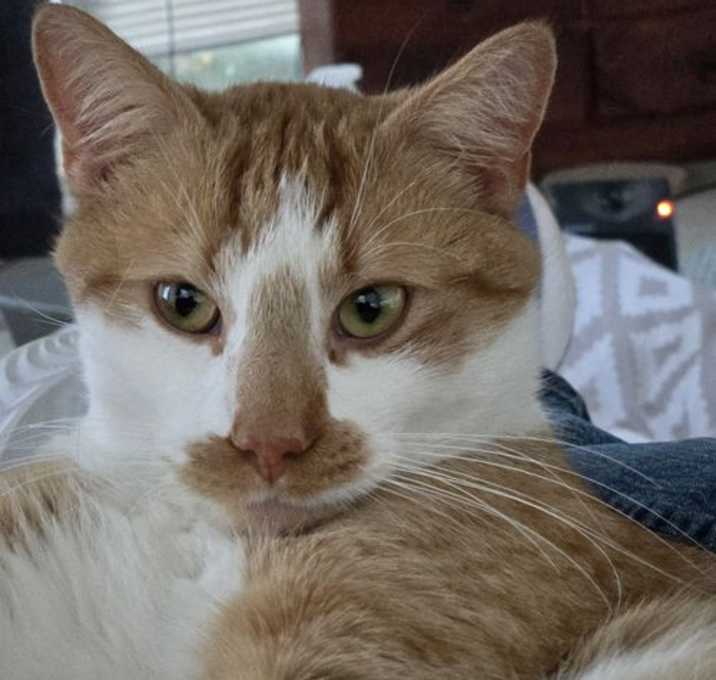 Photo of Sunbeam, Willow Grove Area, (FCID 12/2/2025-124)