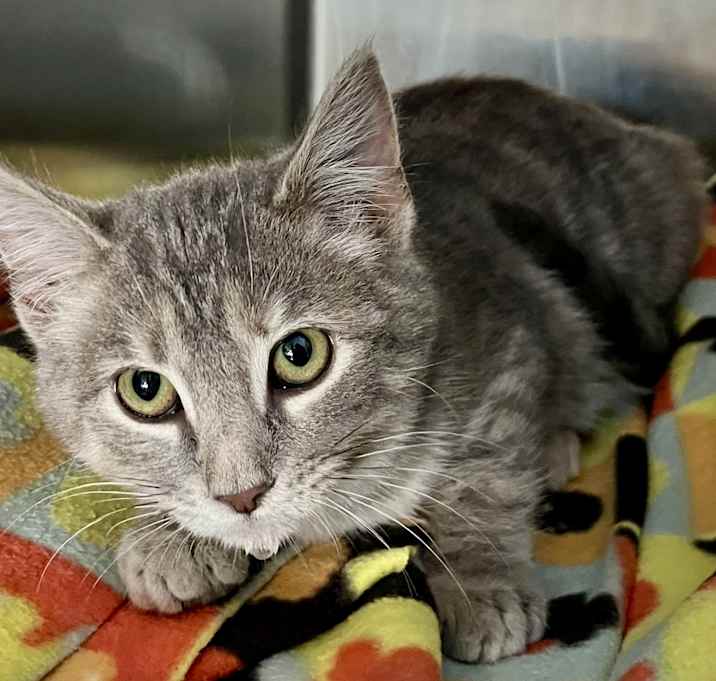 Photo of Material Girl