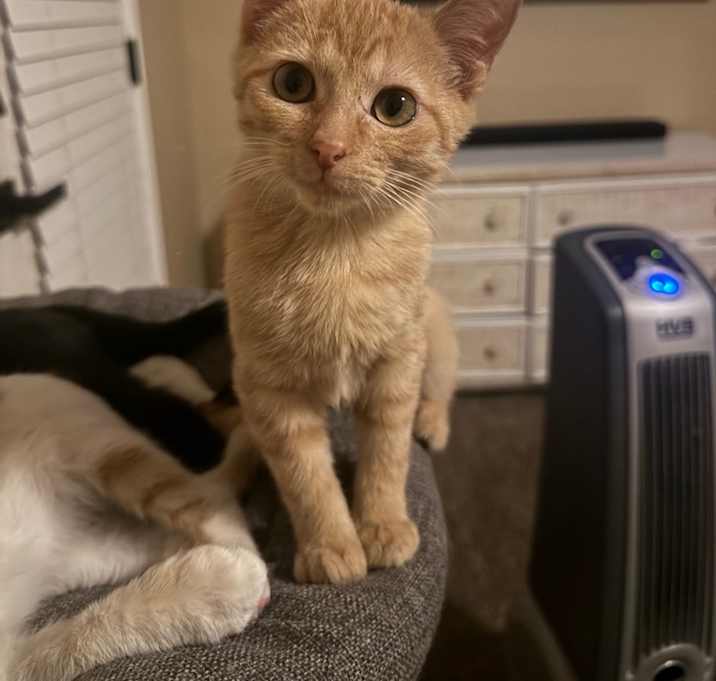 Photo of Danielle Eve