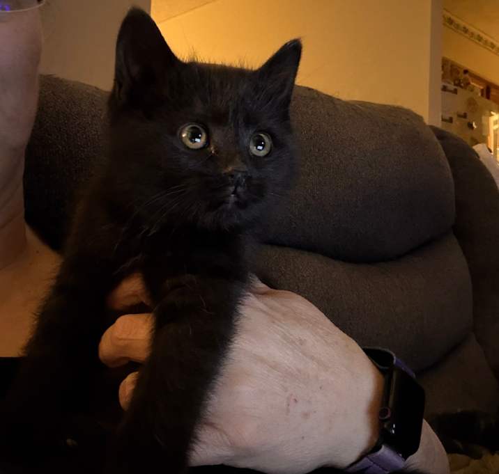 Photo of Buttons Willingham