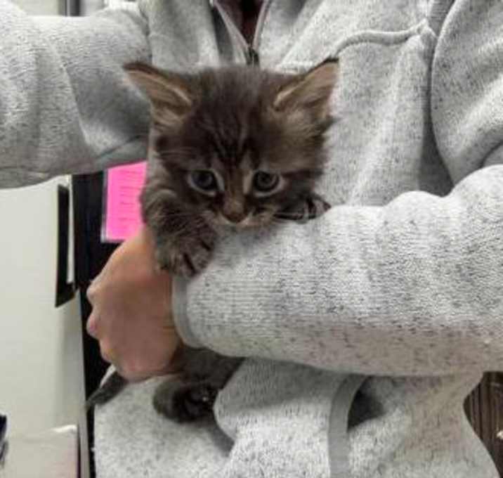 Photo of Taylor Swift