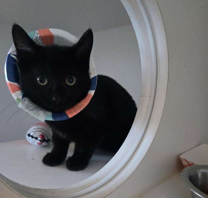 Photo of Jalen Duren