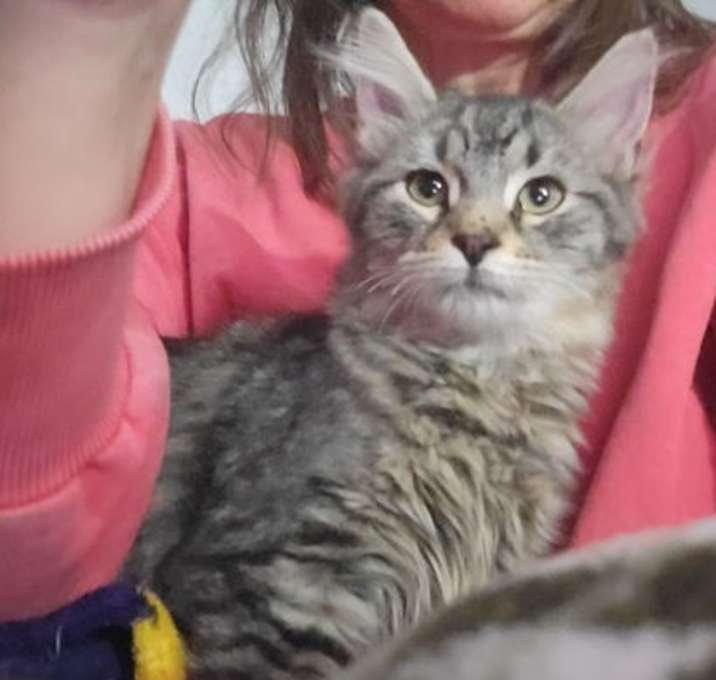 Photo of Jack Courtesy Listing