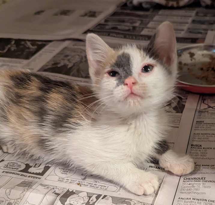 Photo of Rub a Dub Dub