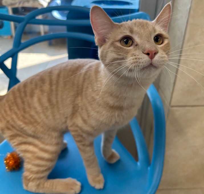 Photo of Prince Phillip