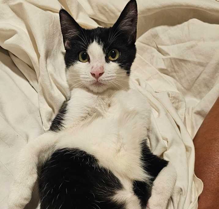 Photo of Cassandra LH