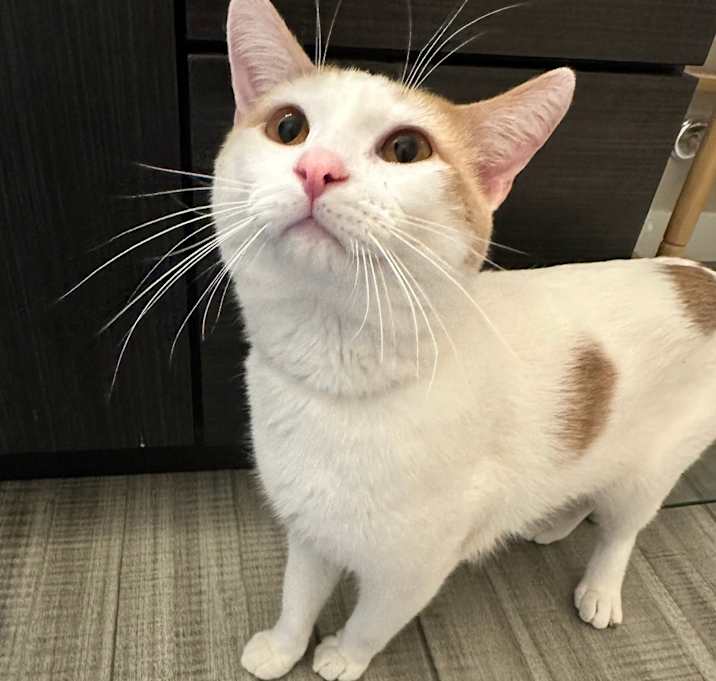 Photo of Bram C66976