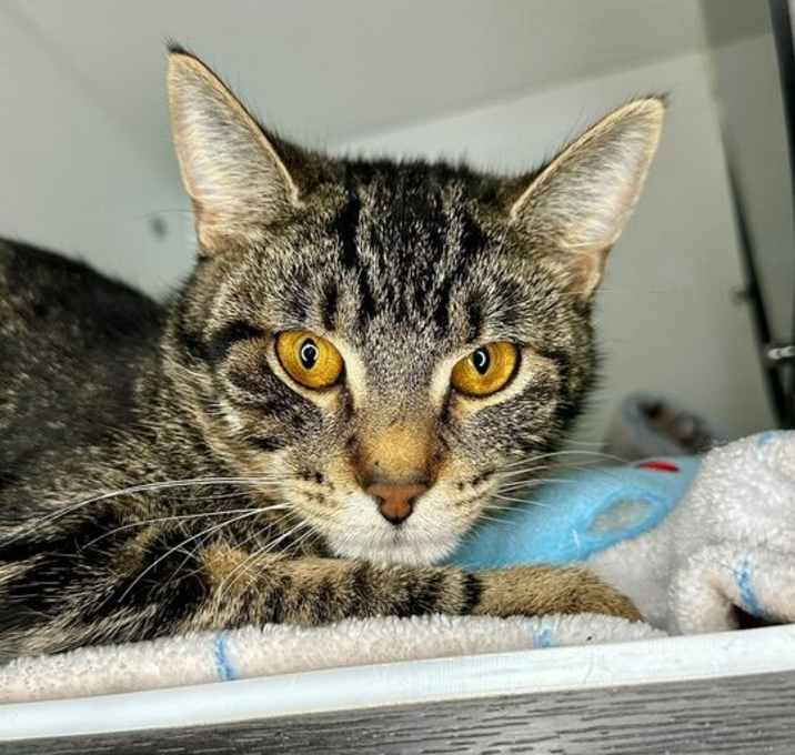 Photo of Wendy Peppercorn