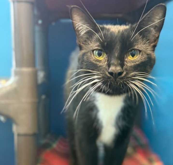 Photo of Leslie Knope