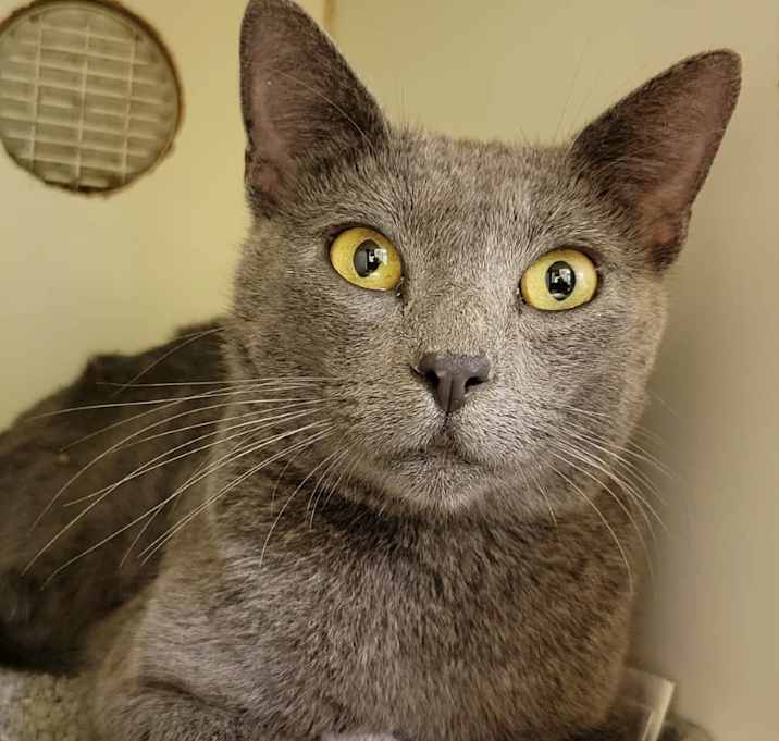 Photo of Darling Nikki