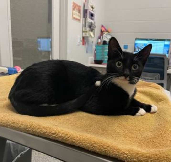 Photo of Sentimental Value