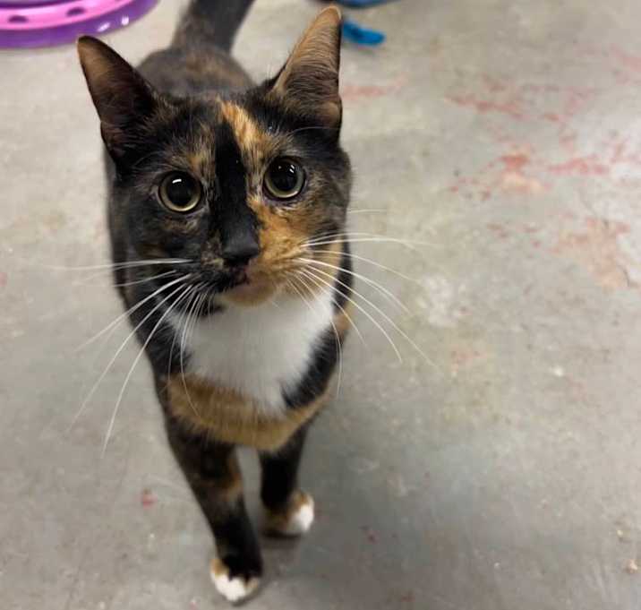 Photo of Holly Dolly